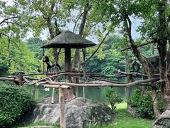 -清迈夜间动物园