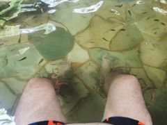 -天目湖涵田半山温泉