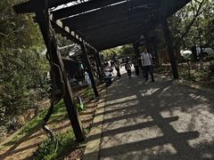 -九龙潭景区