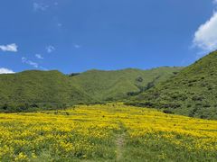 -石棉县孟获城