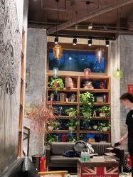-T.1 hair salon烫染接发