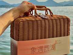 -西湖游船