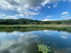 -牛岗山公园