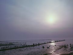 -金刚山(学府路店)
