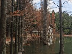 -四明山国家森林公园