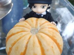 -三忘湖 SWANSEEN(柳荫公园店)