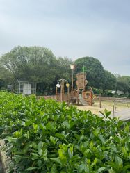 -长沙小顽国景区