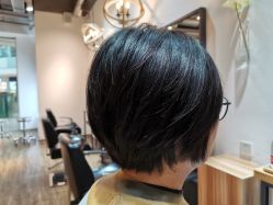 -Mentor Hair Salon