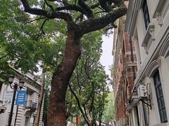 -陶然轩(沙面店)