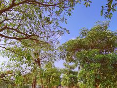 -新塘水果乐园(东洲大道店)