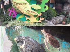 -海合安成都极地海洋公园