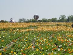 -歌斐颂巧克力小镇