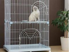 -爱宠屋pet shop·宠物洗澡·宠物美容