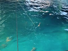 -SHRIMP CLUB万东餐饮钓虾·清吧