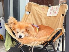 -大理床单厂艺术区