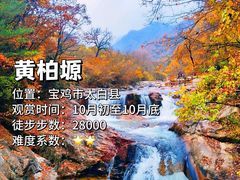 -光雾山旅游景区