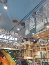 -卡通尼·Safari非洲探索乐园·生日会(金桥国际商业广场店)