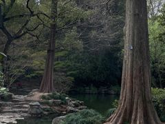 -杭州植物园