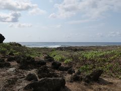 -龙坑生态保护区