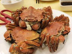 -王宝和酒家(黄浦店)