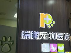 -瑞鹏宠物医院·宠保定点·心脏科·内科(御桥分院)