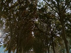 -河南省黄河迎宾馆