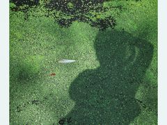 -渌洋湖湿地公园