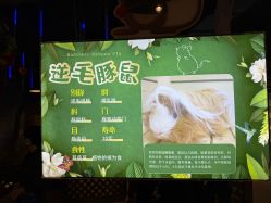 -酷嗒动物文化乐园(cutezoo西溪乐天城店)