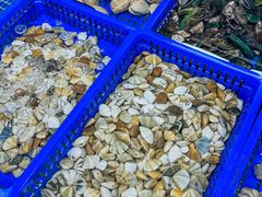 -双月饭店·20年老字号(新村店)