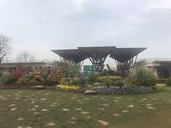 -上海长兴岛郊野公园