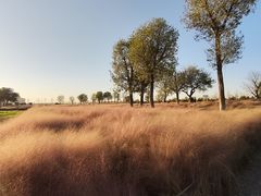 -汉长安城未央宫国家考古遗址公园