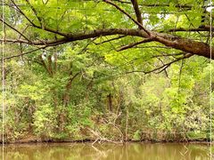 -天台山赤城山景区