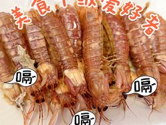 -枸杞岛
