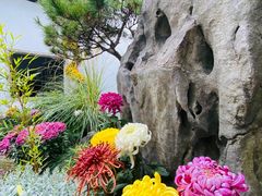 -杭州植物园