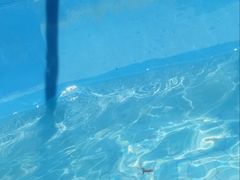 -珠海梦幻水城