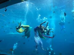 -瑞德姆美人鱼海底演艺主题餐厅(亚龙湾店)