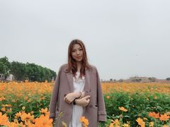 -光明小镇欢乐田园