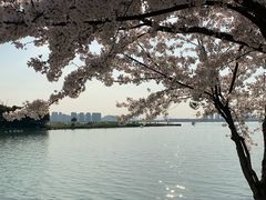 -苏州独墅湖世尊酒店