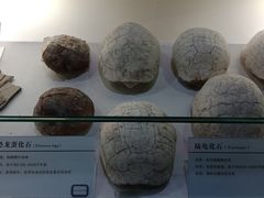 -中国第四纪冰川遗迹陈列馆