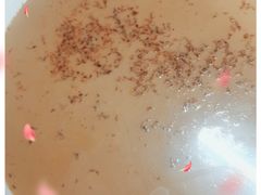 -老海陵·泰州菜(图书馆店)