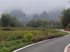 -明仕田园