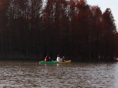 -上海海湾国家森林公园
