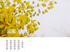 -飞天山旅游区