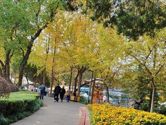-赭山公园