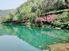 -桃花岭景区