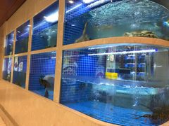 -花中城·杭帮菜·粤菜·海鲜火锅(清泰街店)