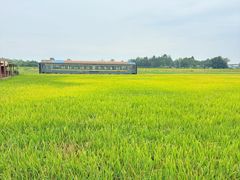 -中国天府农业博览园