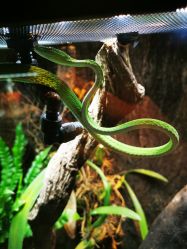 -酷嗒动物文化乐园(cutezoo西溪乐天城店)