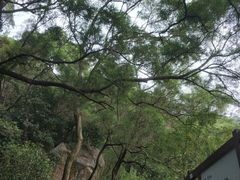 景点-清源山风景区