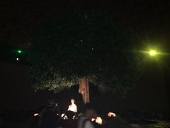 -灵山吉祥颂
